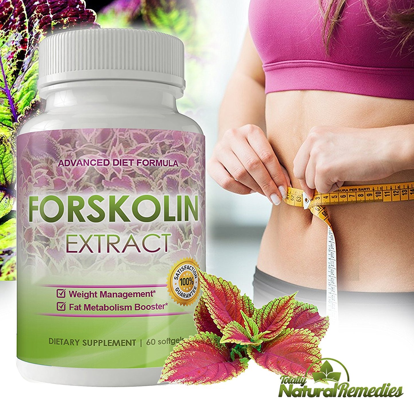 100% Pure Forskolin Extract - 250mg Premium Grade Coleus Forskohlii (60 Capsules)